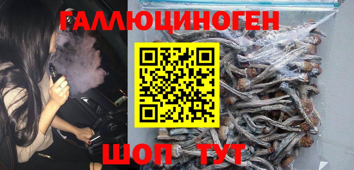 Псилоцибиновые грибы мухоморы Новоалтайск