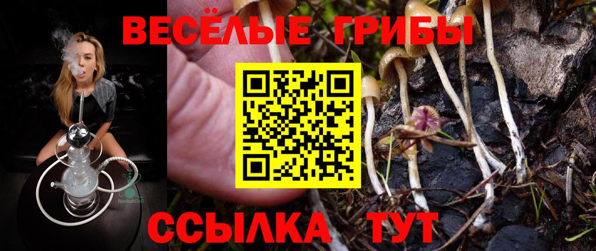 Новоалтайск  Псилоцибиновые грибы прущие грибы  Вход с VPN 
